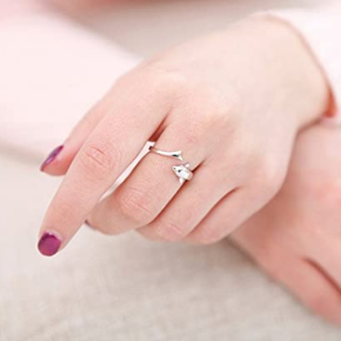 Anillo Delfín