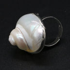 Anillo de Nácar de Conchas