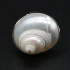 Anillo de Nácar de Conchas