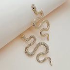 Aretes Largos Serpiente plata