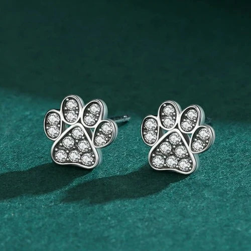 Aretes de Garra con Circonio en Plata