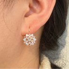 Aretes Colgantes Flor de Circonia blanca