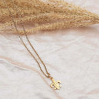 Collar y Colgante Flor de Lis Hombre Mujer oro
